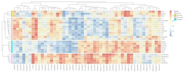 Ancestral allele frequency heatmap of 48 SNPs in 25 training populations from different continents.