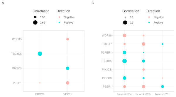 Dot plot of transcription factor/microRNA-gene expression correlations.