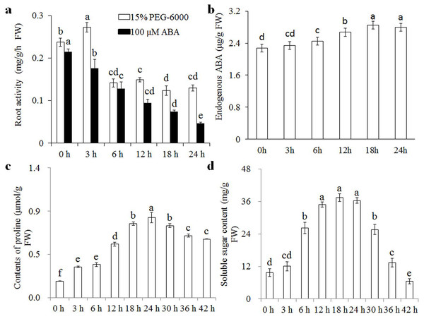 Root activity under osmotic stress and 100 μM ABA treatment.