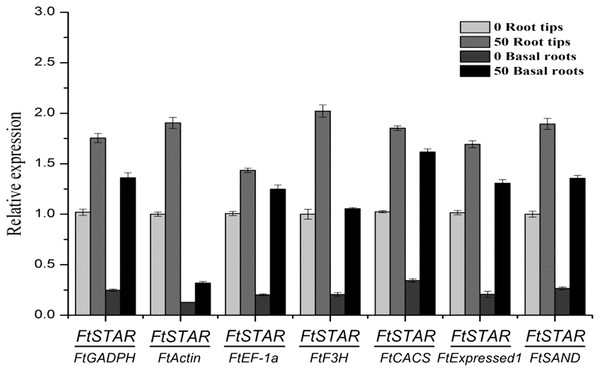 Relative quantification of FtSTAR2 gene expression under Al treatment in tartary buckwheat.