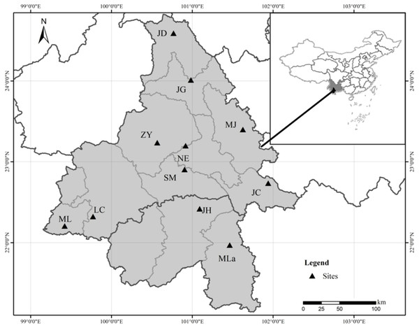 Geographical location of the 11 Natural populations of Simao pine in China.
