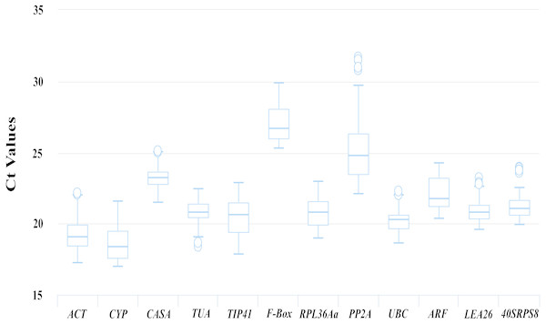 Ct values of 12 candidate reference genes from the qRT-PCR analysis in all samples.