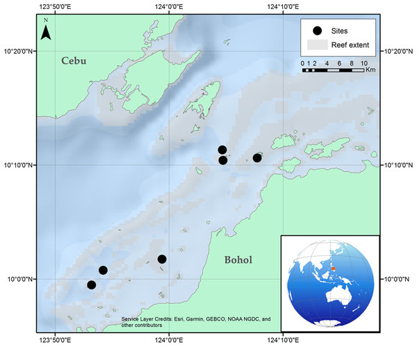 Location of the six reef sites surveyed along the Danajon Bank reef complex, north of Bohol, Philippines.
