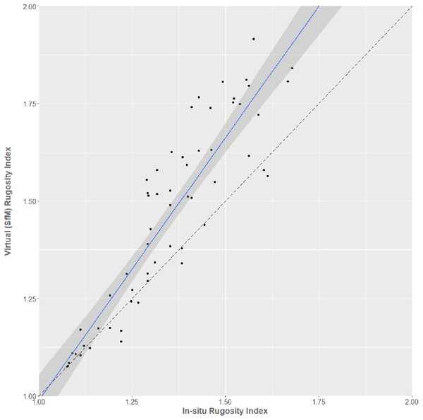 In situ chain-measured rugosity index against virtual SfM-derived rugosity index.