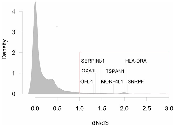 Distribution of dN/dS<3 values for all pair-wise comparisons between three species of grunts.