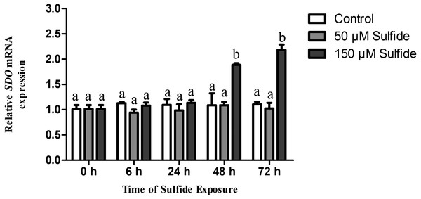 Relative expression levels of SDO in different sulfide treatment groups.