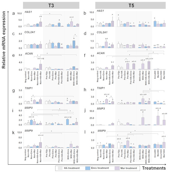 Effects of FQs with and without HA on ECM genes and protease genes on canine cartilage explants.