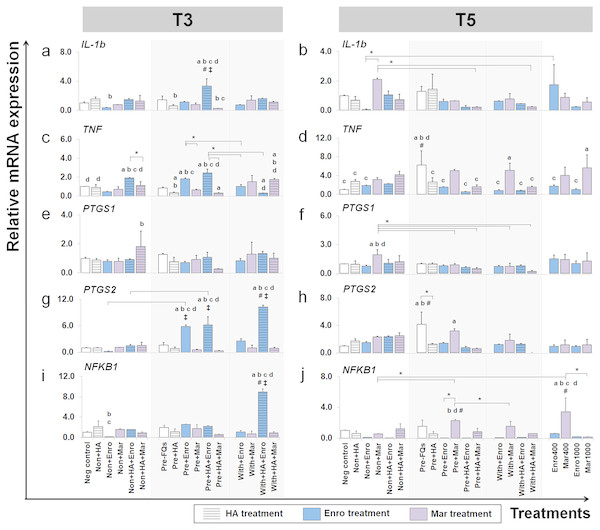 Effects of FQs with and without HA on the key cytokines and enzymes expression.