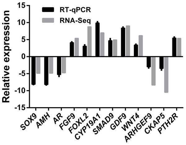 RNA-Seq and qRT-PCR validation results.