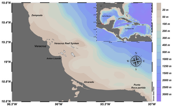 Fishing ground location of E. alletteratus caught in the southwest Gulf of Mexico.