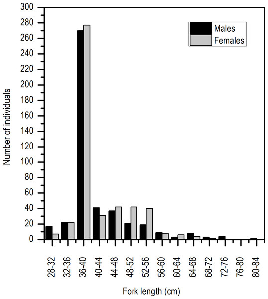 Length frequency distribution of E. alletteratus caught from December 2009 to November 2012 in the southwest Gulf of Mexico.
