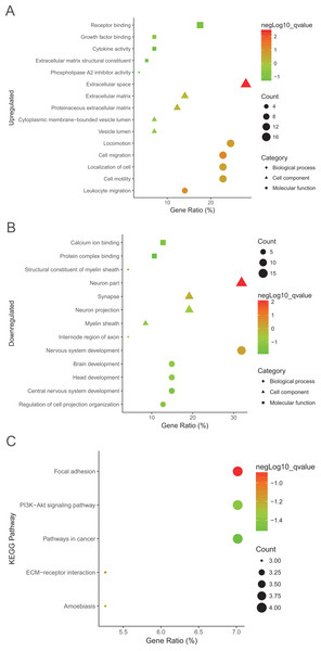 GO analysis results of DEGs.