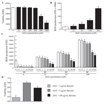 Effect of the flavonoid baicalin on the proliferative capacity of ...