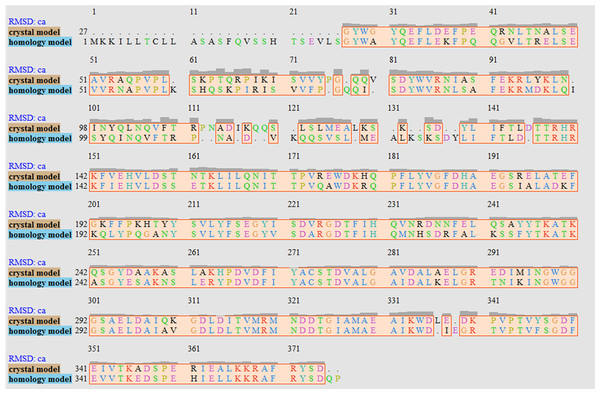 Sequence alignment after superimposition of crystal and homology model shows the RMSD of cα higher in loops, helices and beta-sheets as graphic presentation in Fig. 1c.