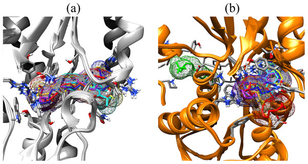 Binding poses of the small molecule metabolites/reference compounds in crystal (A) and homology model (B).