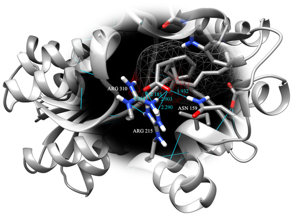 Binding pose of molecule EPA in LuxP crystal model.