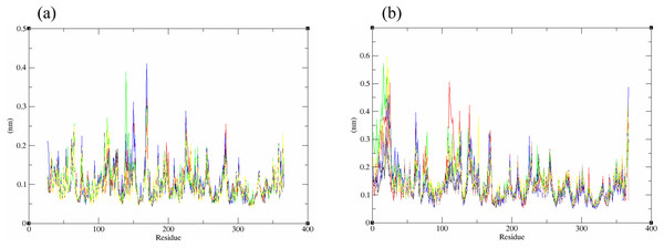 Residue RMSF of the protein-ligand complexes from both the crystal (A) and homology model (B) generated during the trajectory period of 10 ns MD simulation.