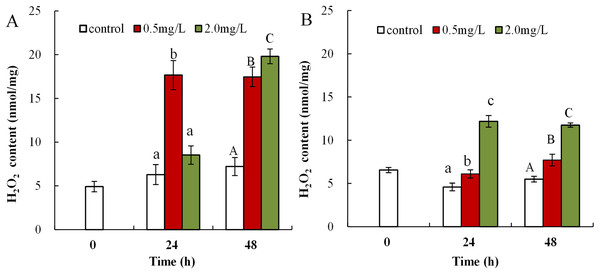 DBP induced change in D. magna H2O2 concentrations.