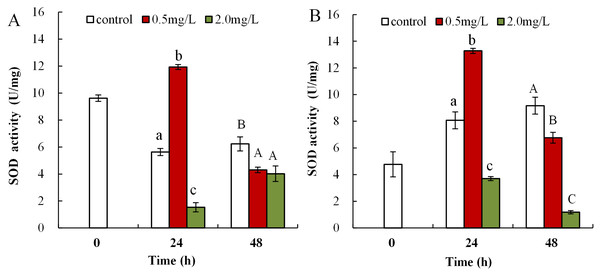 DBP induced changes in SOD activity in D. magna.