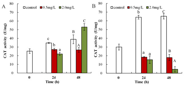 DBP induced changes in CAT activity in D. magna.