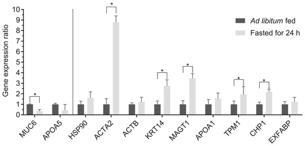 Relative quantification of mRNA of genes encoding the differentially expressed proteins.