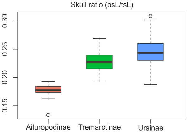 Boxplot of the skull ratio (bsL/tsL ) per subfamilies where significant differences amongst them are observed.