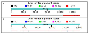 Genome-wide characterization of endogenous retroviruses in snub-nosed ...