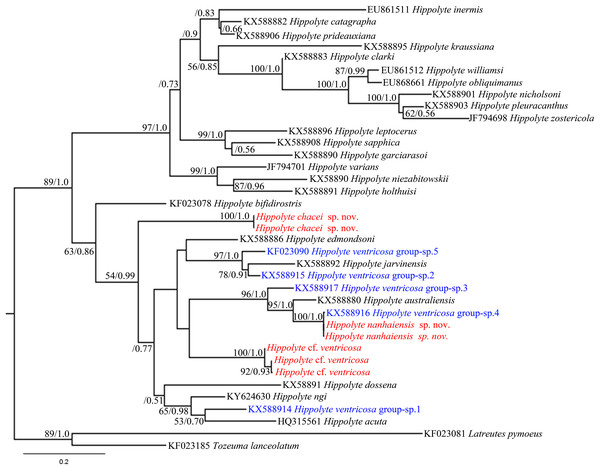 16S rRNA phylogenetic tree.