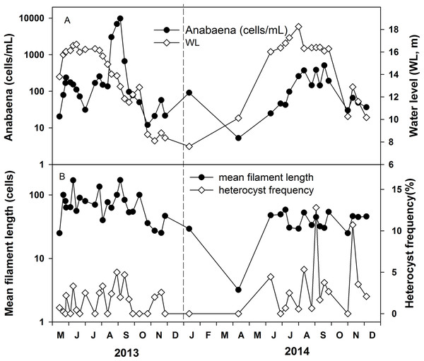 Variations of Anabaena abundance and Anabaena heterocyst frequency in the years 2013 and 2014.