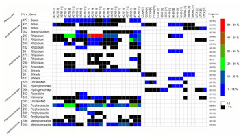 Associated bacteria of Botryococcus braunii (Chlorophyta) [PeerJ]