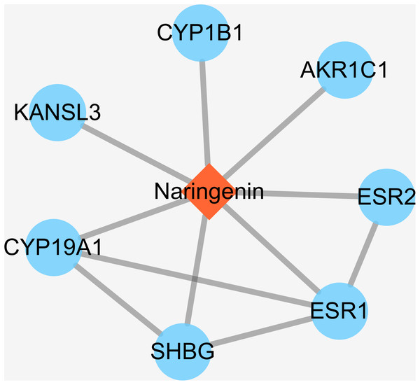 The interactions of naringenin and its DPTs.