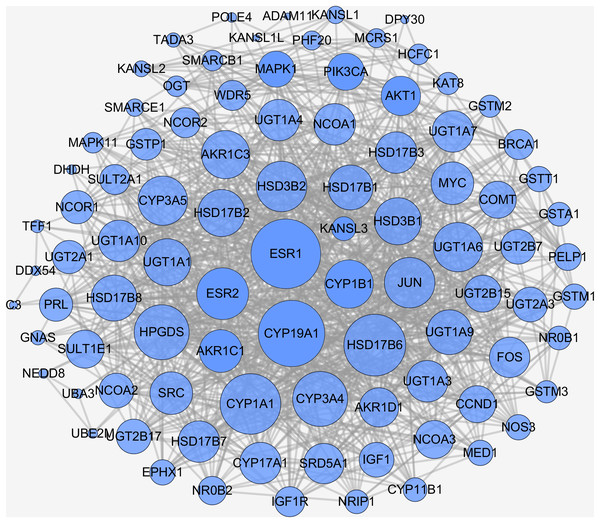 PPI network of naringenin-mediated proteins.