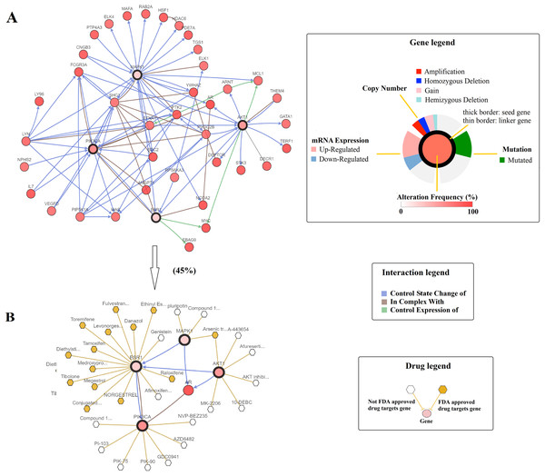 A visual display of the gene network connected to ESR1/PIK3CA/AKT1/MAPK1 in prostate adenocarcinoma (based on the NEPC study, Nat Med 2016) (Beltran et al., 2016).