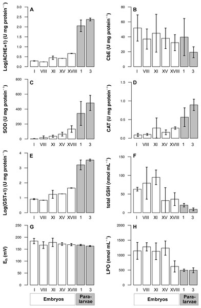 Maturation trade-offs in octopus females and their progeny: energy ...