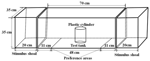 Experimental setup showing the structure of experimental arena.