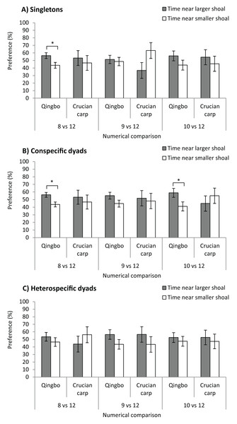 The shoal test of qingbo and crucian carp in both singletons (A) and dyads (both conspecific and heterospecific) (B and C) under different numerical comparisons.