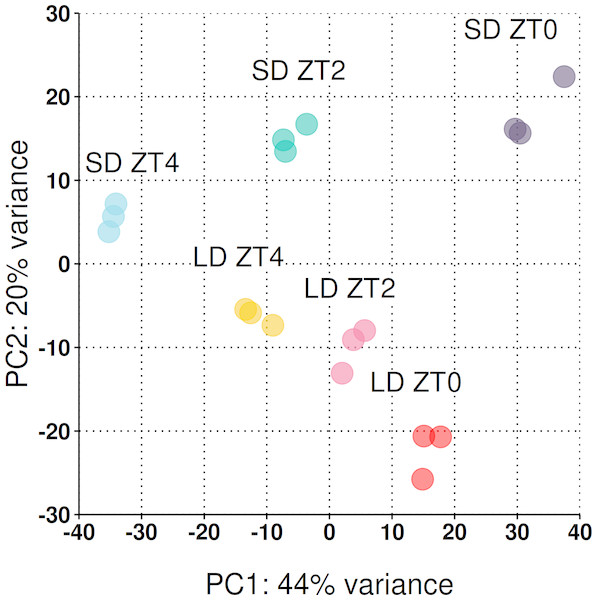 Reduced-space plot of the first two components of a PCA of individual RNA-Seq libraries.