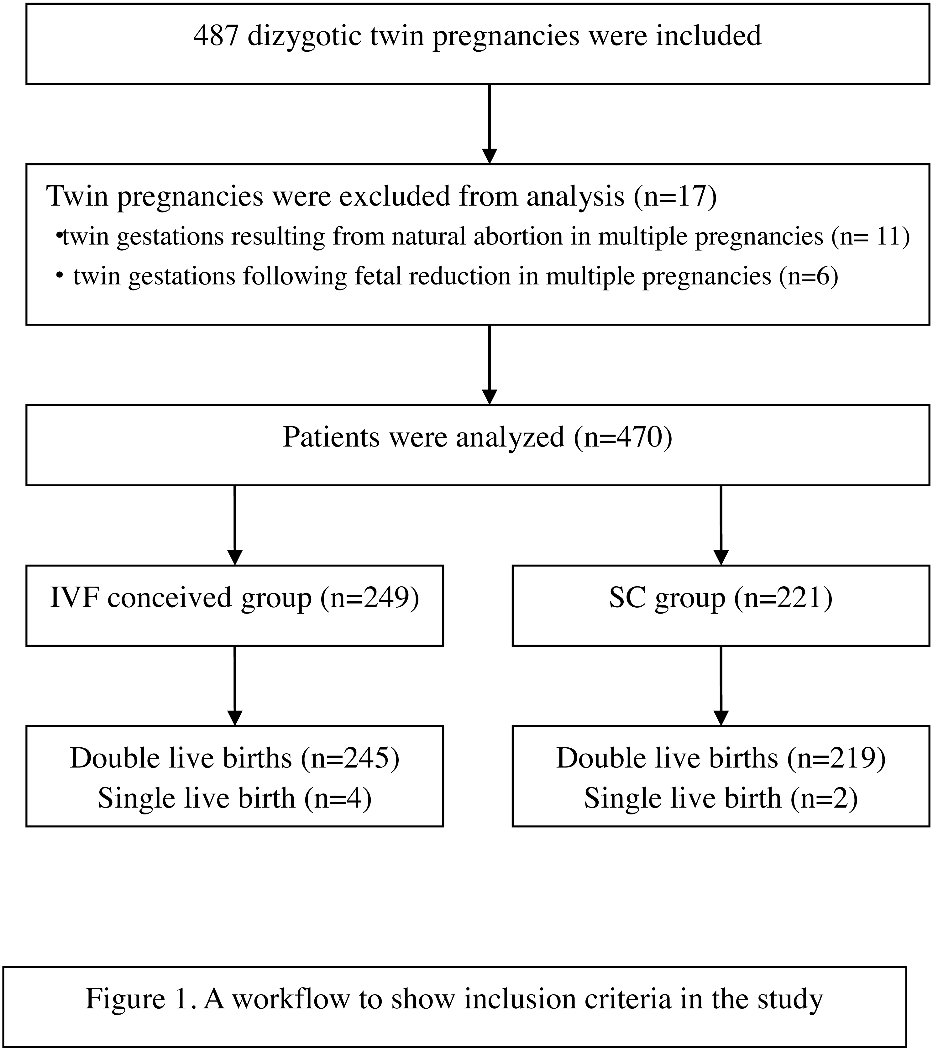 Obstetric and perinatal outcomes of dizygotic twin pregnancies ...