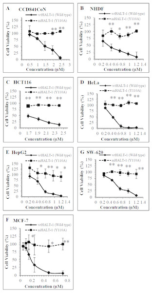  Comparison of cell viability on (A) CCD841CoN(B) NHDF (C) HCT116 (D)HeLa (E) HepG2 (F)MCF7 (G) SW-620 treated for 24 h with wtHALT-1 and mHALT-1.