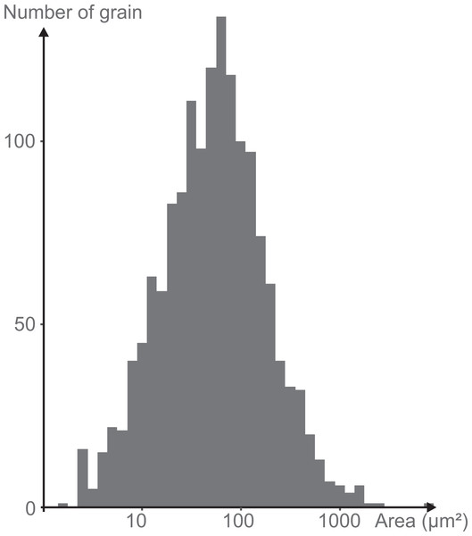 Log-normal distribution of the grain size of the minerals attached to the mica plate.