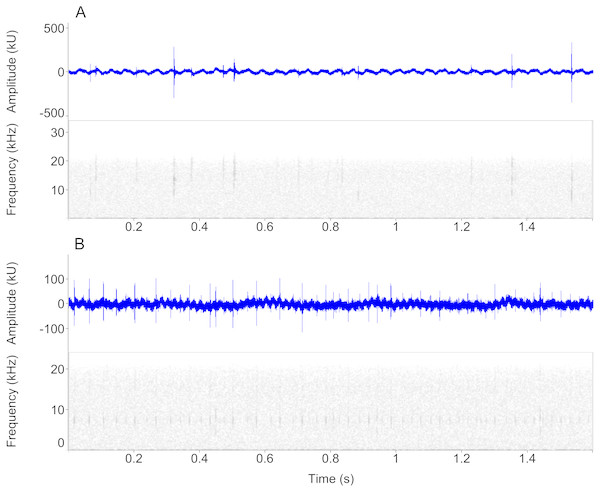 Waveform and spectrogram views of underwater sounds.