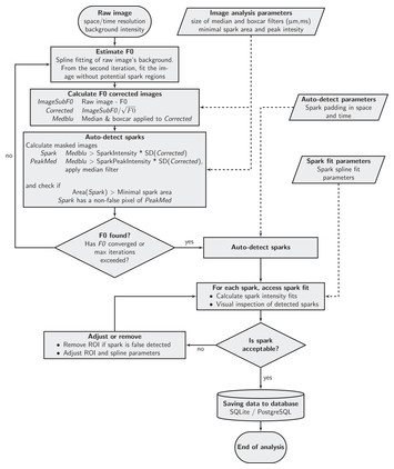 IOCBIO Sparks detection and analysis software [PeerJ]