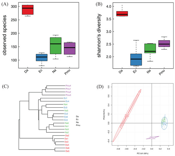 Alpha diversity, beta diversity, and principal component analysis of the bacterial communities across four snake species.