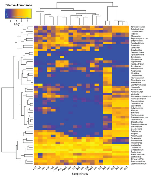 Heatmap showing the genus-level bacterial community composition in the gut microbiotas of four snake species.