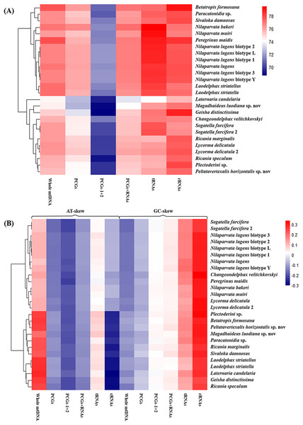 Nucleotide composition of various datasets of Fulgoroidea mitogenomes.