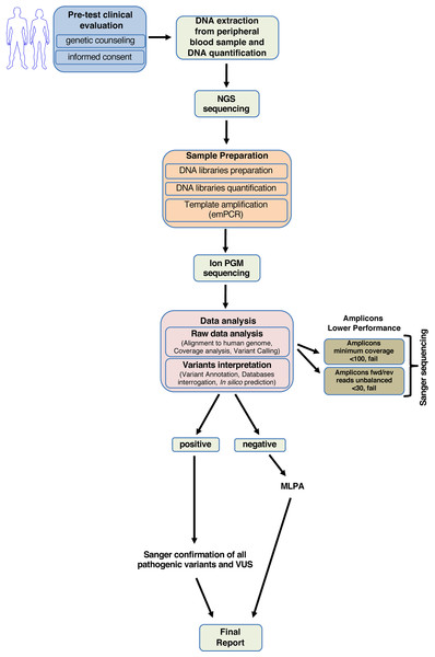 Workflow for analyzing BRCA1 and BRCA2 using NGS.