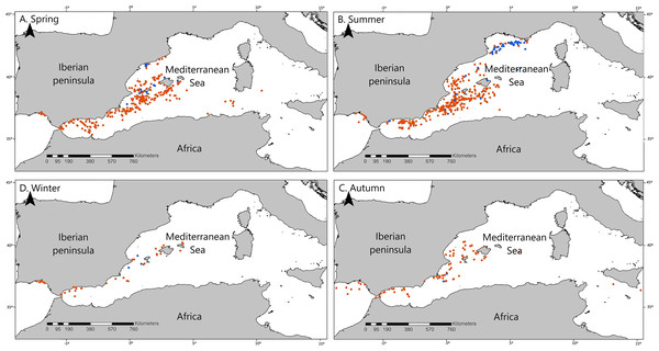 Seasonal distribution of the opportunistic sighting dataset of cetaceans.