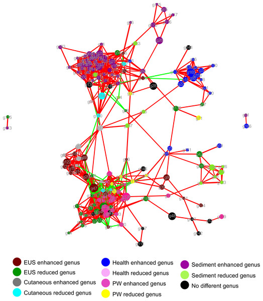 Network showing the co-occurrences of dominant bacterial genera in the cutaneous microbiota of hybrid snakehead and the pond water and sediments of their habitat.