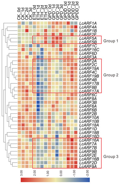 Expression profiles of LcARF genes in response to ETH, GPD, and GPDD treatments.