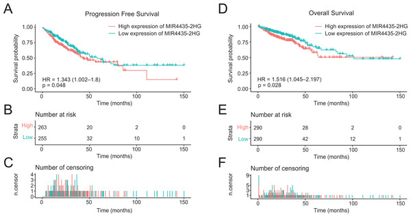High expression of LncRNA MIR4435-2HG is associated with poor PFS and OS in patients with colorectal cancer.